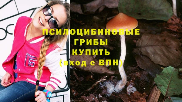 МДМА Каменка