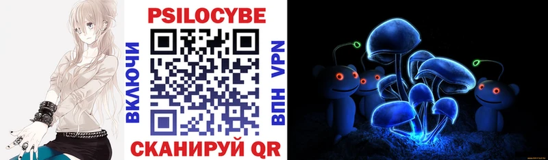 Купить где  Волхов  Галлюциногенные грибы Psilocybe 